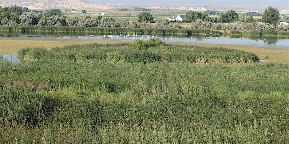 Birding Field Trip to Ted Trueblood & CJ Strike