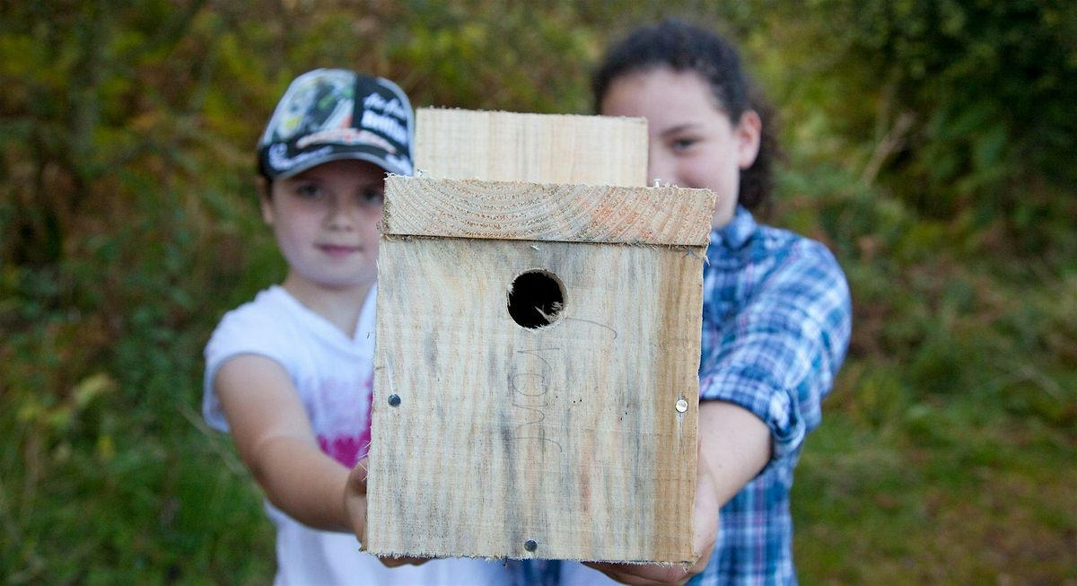 Fingringhoe Bird Box Building