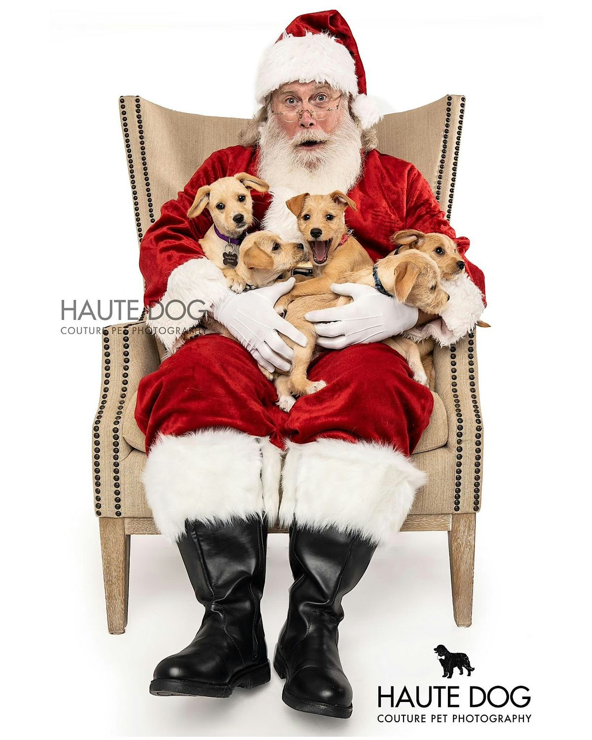 Santa Photos & Snow Play at Uptown Pup Dallas