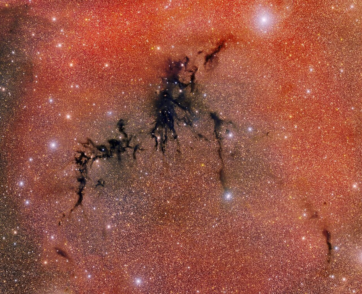 Dark Surface