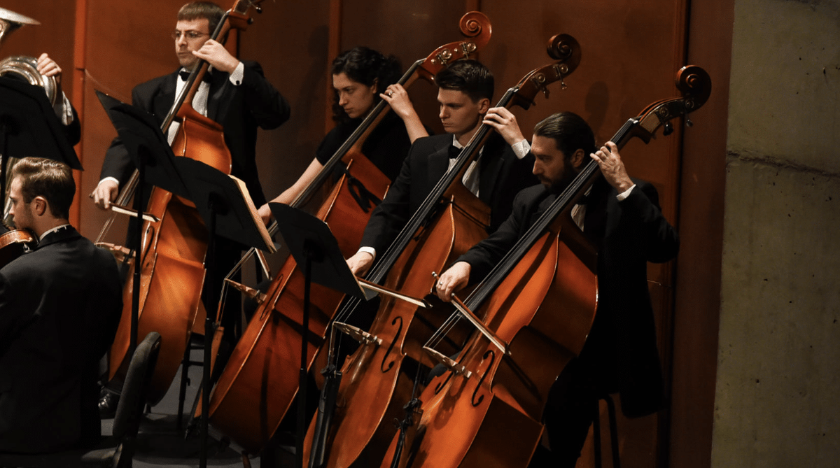 Manassas Symphony Orchestra - Manassas