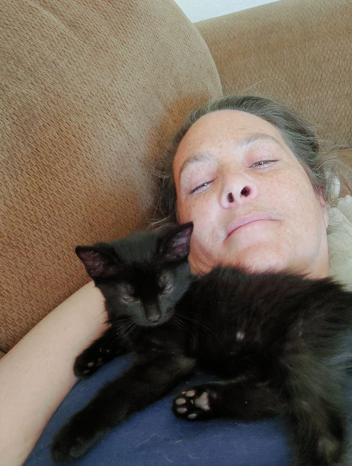 Adoption event at Pet Vet Market Pet Vet Market, Albuquerque, NM