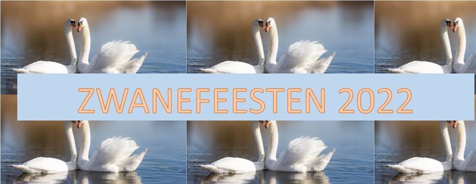 Zwanefeesten