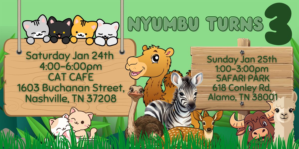 NYUMBU IS TURNING 3