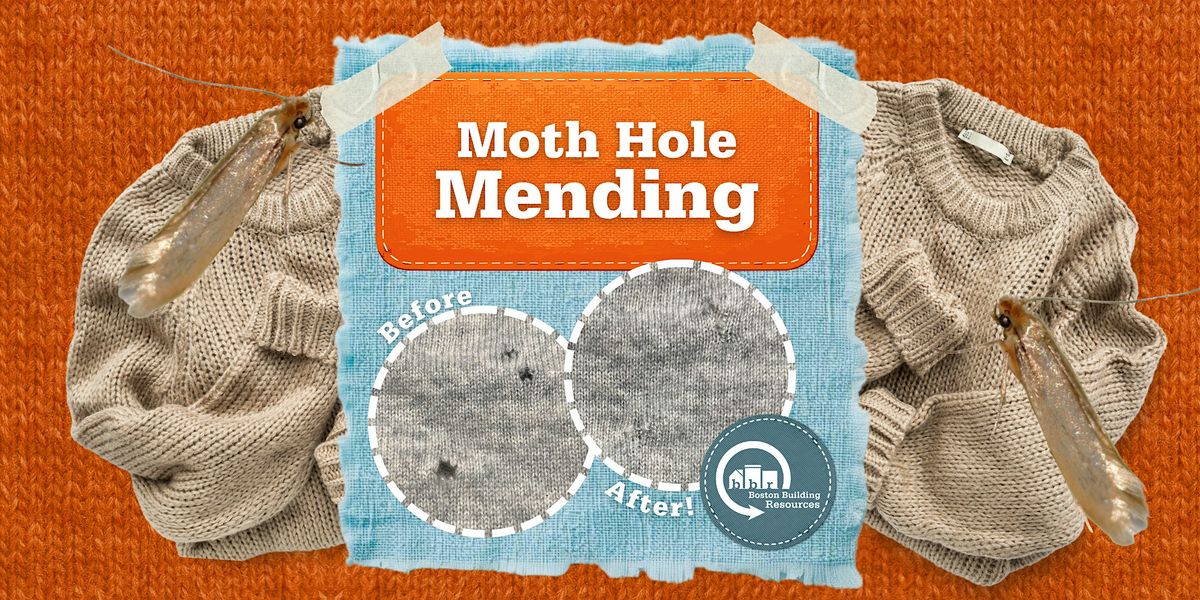 Moth Hole Mending
