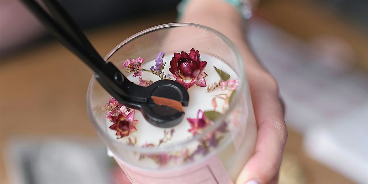 Family Farmacy: Solstice Stories