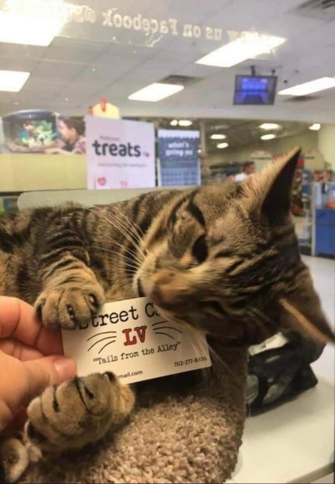 The Giving Project | 314 Foremaster Ln, Las Vegas, NV 89101-1008