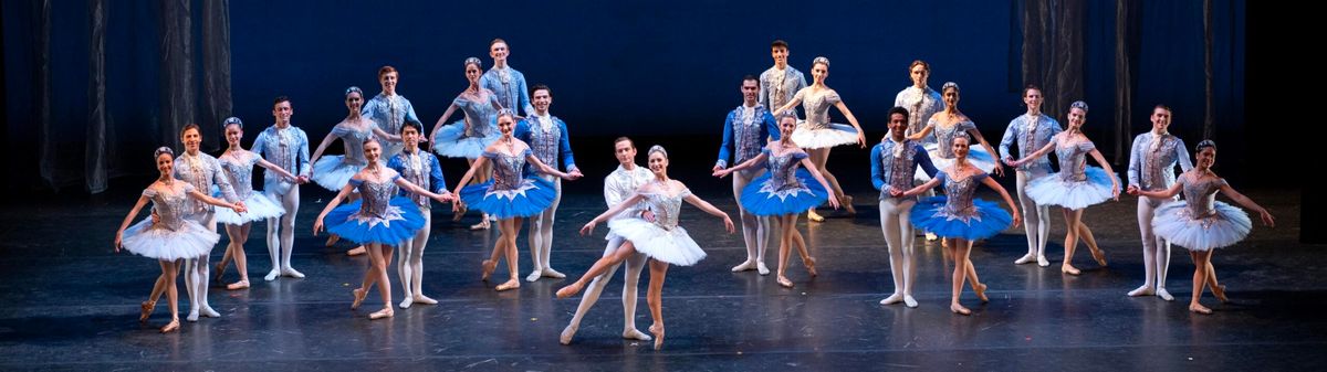 Spotlight: Juliet & Romeo With Lost Dog