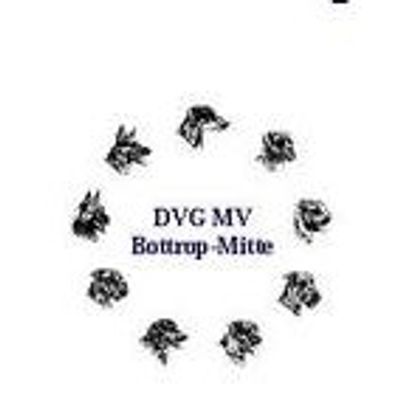 DVG MV Bottrop-Mitte e.V.