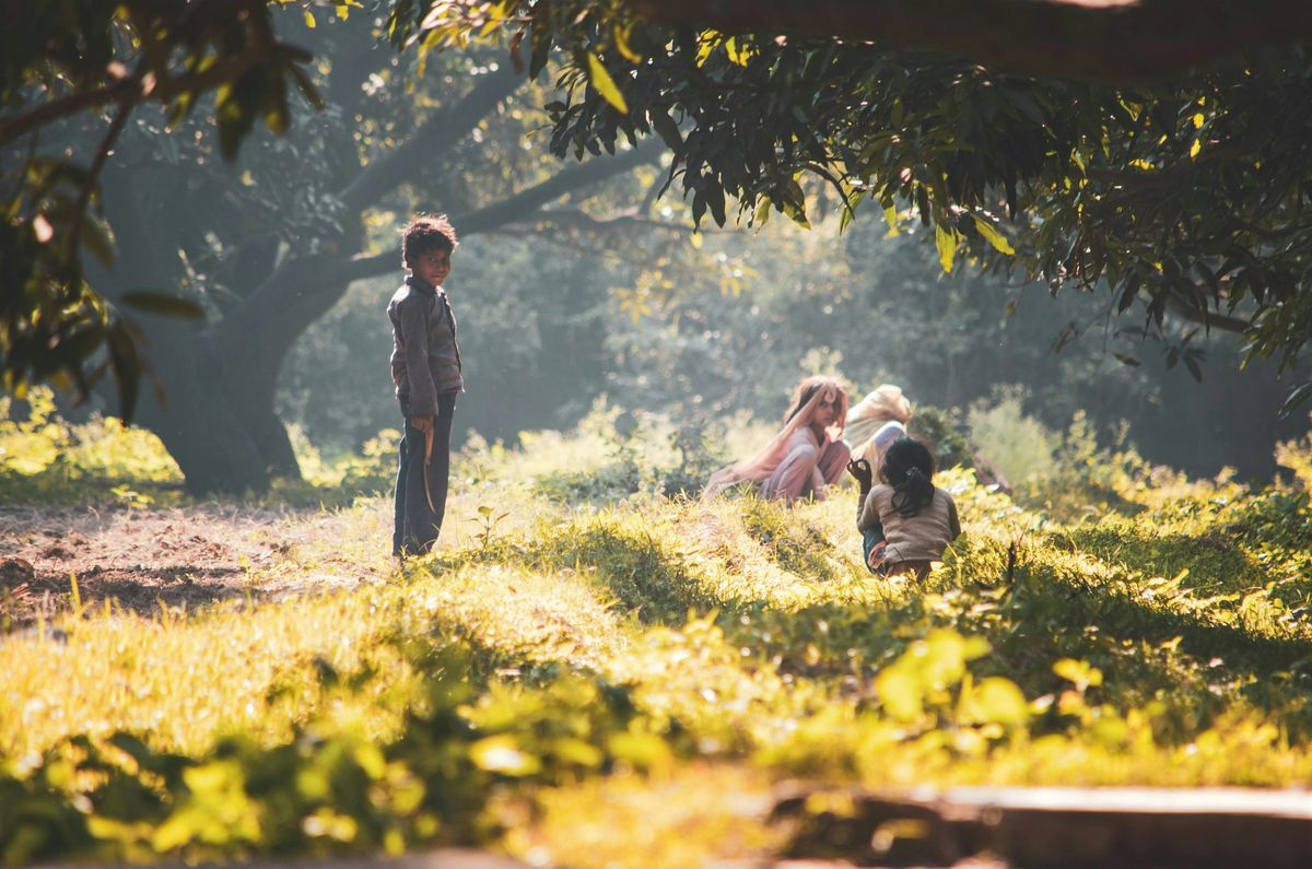Family Fun in the Woods with Nature Nurture Bushcraft - May 2026