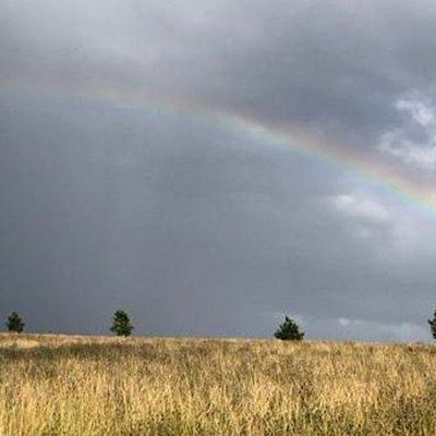 Climate Action  - West Northamptonshire