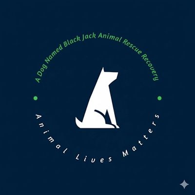 A Dog Named Black Jack Animal Rescue Recovery