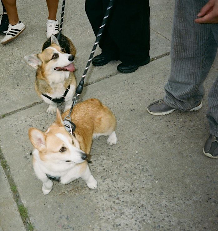 Event Photos