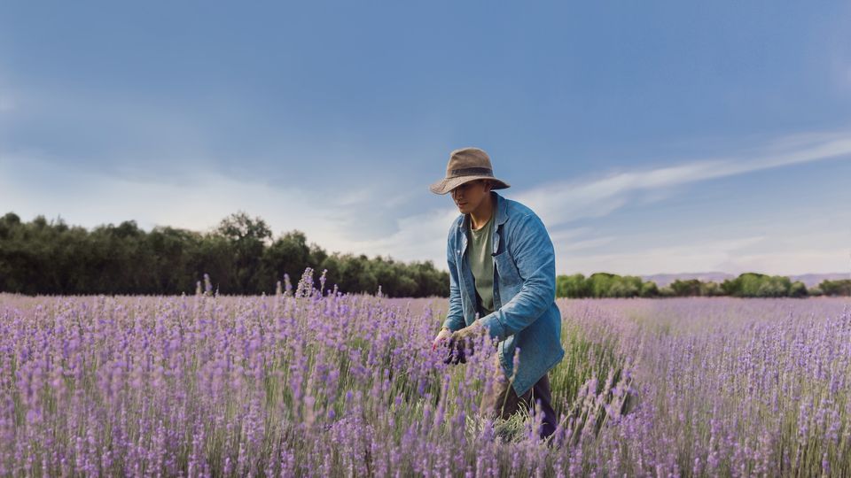 18th Annual Lavender Festival | 123 Farm, Yucaipa, CA | May 20, 2022