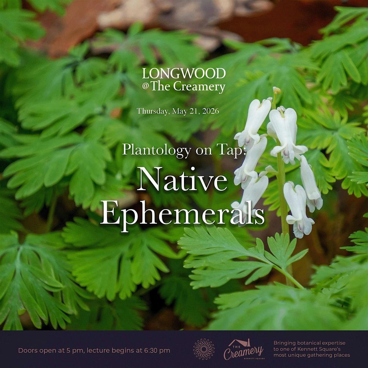 Plantology on Tap: Native Ephemerals