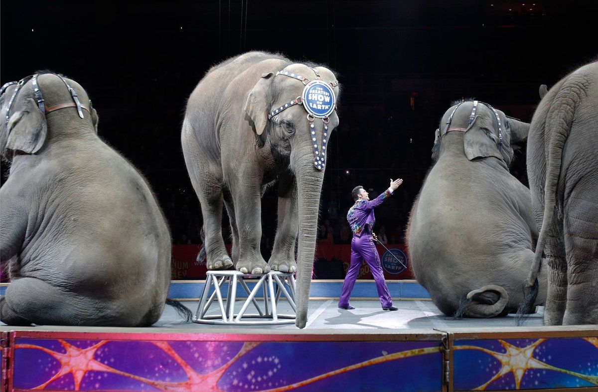 Ringling Bros. and Barnum & Bailey presents The Greatest Show On Earth - Providence