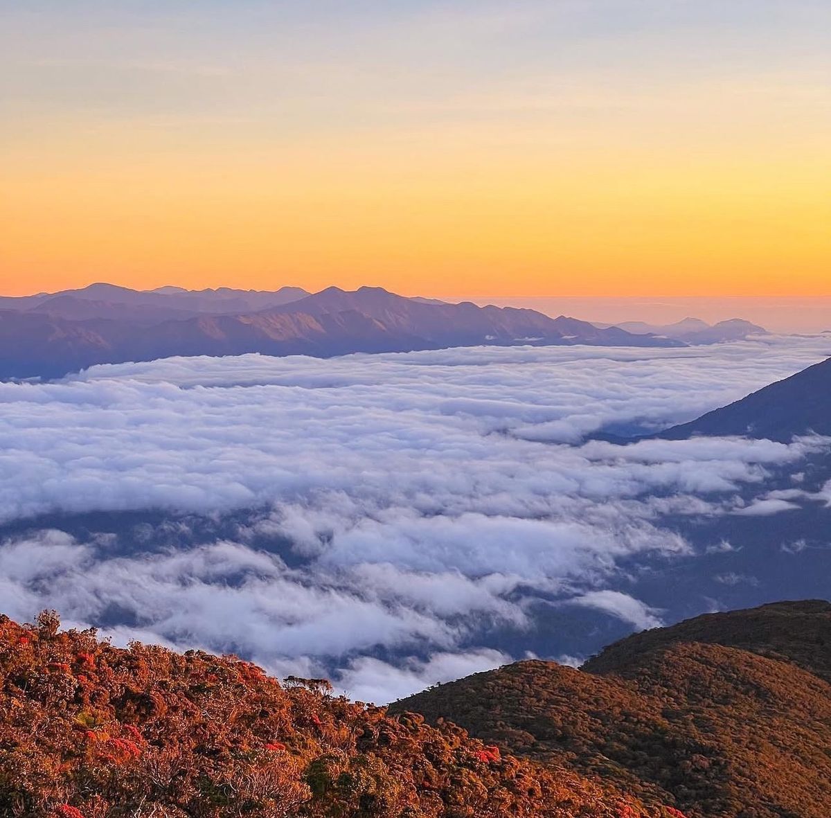 MT. KALAWITAN VIA SABANGAN TRAIL | Mt. Kalawitan, Mountain Province, La ...