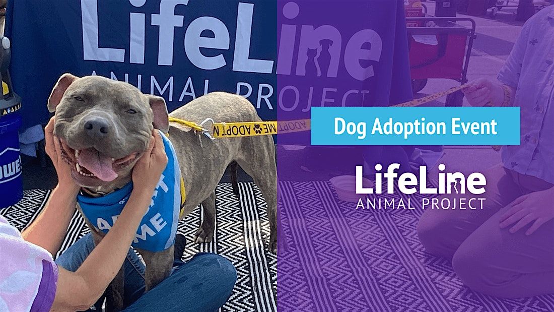 Leashes & Lattes Adoption Event