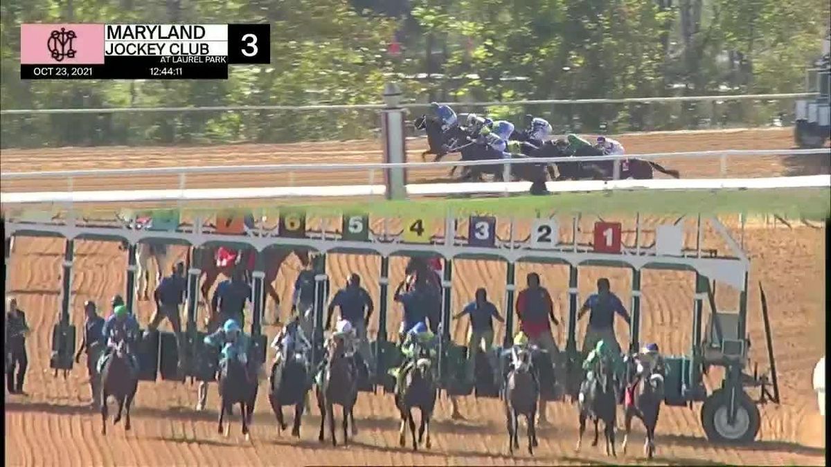 Christmastide Stakes Race Day Buffet