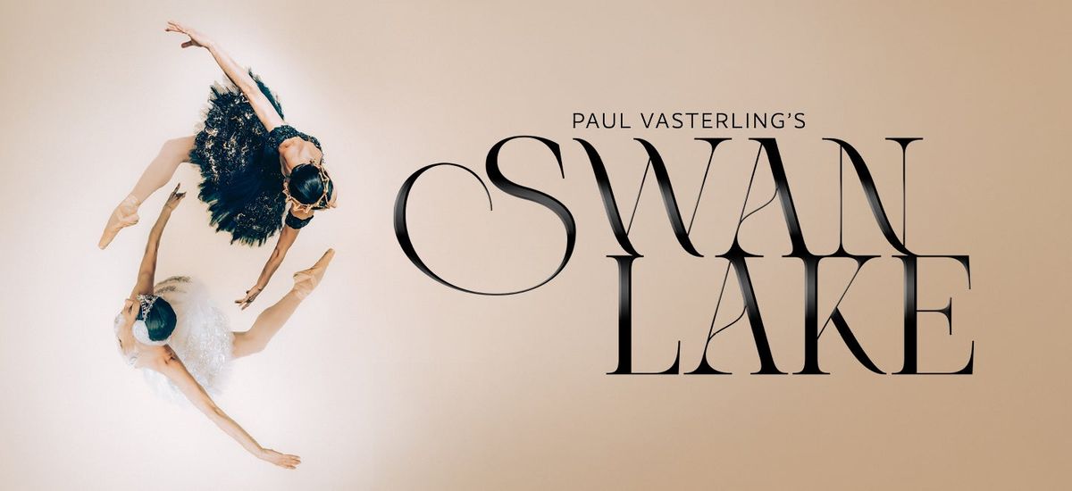 Parking Swan Lake - Nashville