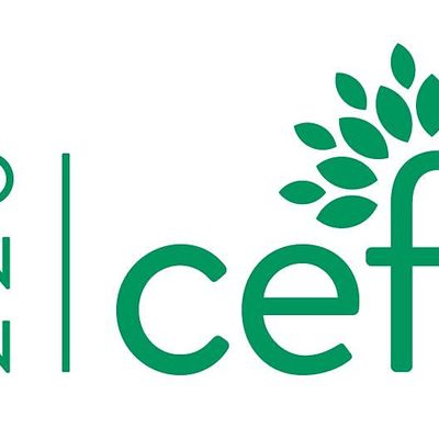 Cabrillo Education Foundation (CEF)