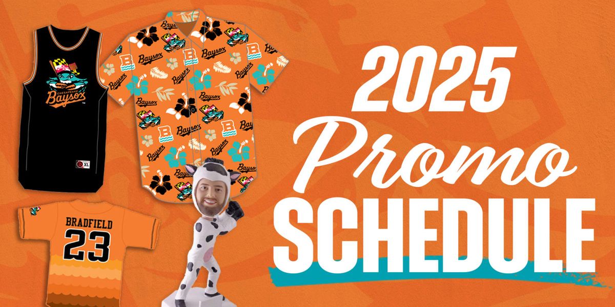 Erie SeaWolves at Chesapeake Baysox