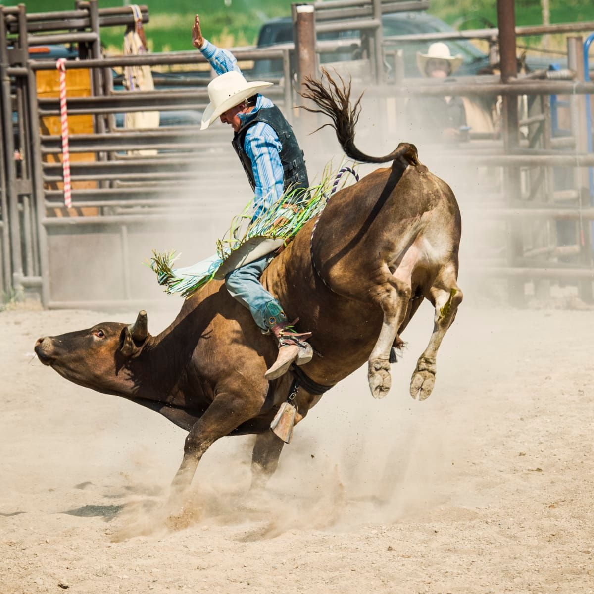PRCA Rodeo | Lea County Fair, Lovington, NM | August 5, 2025