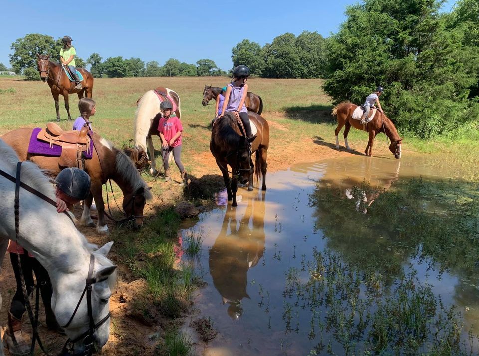 2022 Horsemanship Summer Camps at RH Equestrian RH Equestrian, Tyler