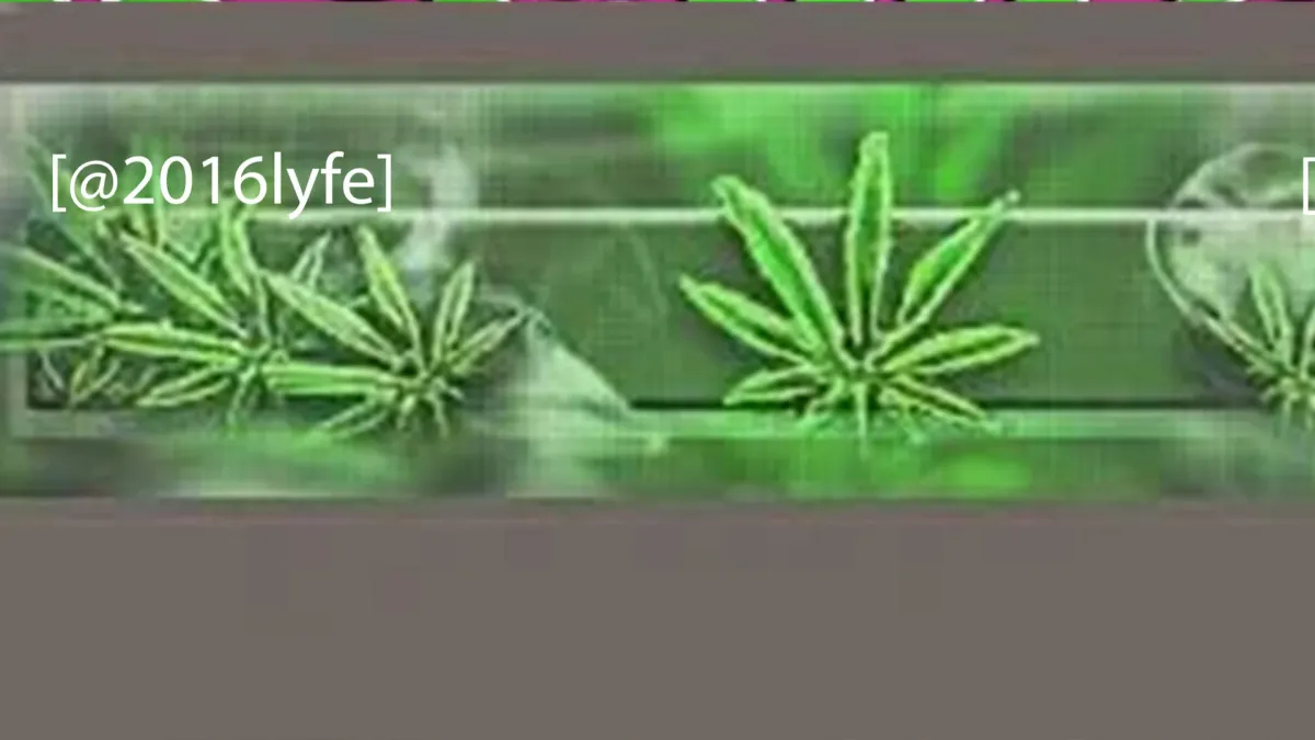 smokedope2016 in Pozna\u0144