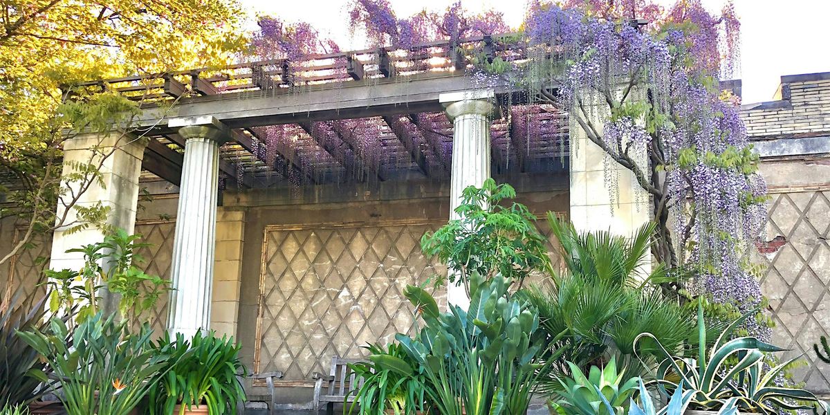 Seasonal Highlights Garden Tour 2026, 11am - 12pm