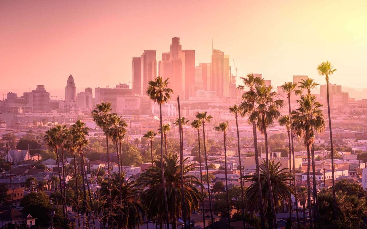Parking The Palms with Pink Skies