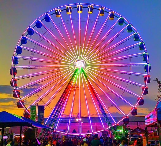 Opening Night - Fuzzy Few Carnival ft R6