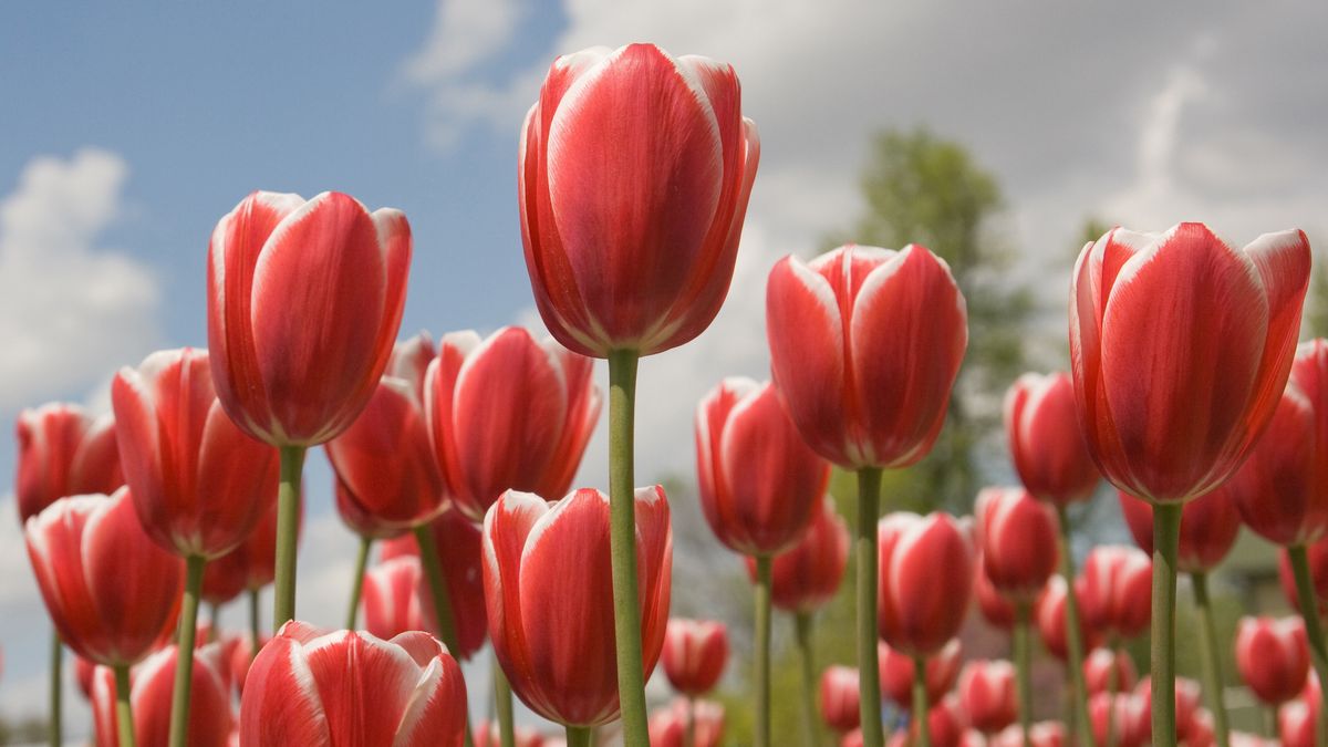 14th Ward Relief Society Activity