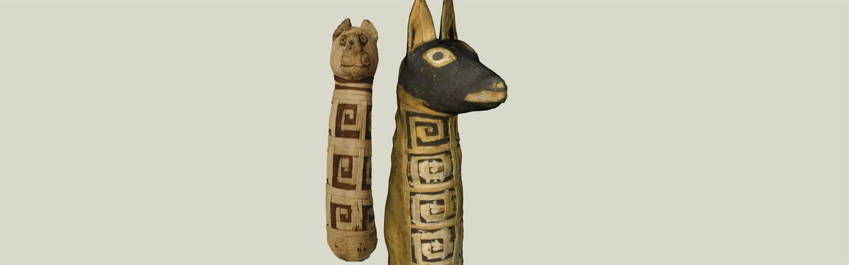 Leggere tra le bende: i tessuti delle mummie animali votive