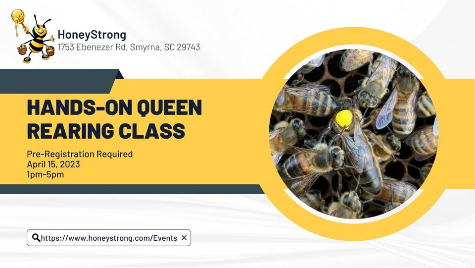 Hands-On Queen Rearing Class | HoneyStrong, Smyrna, SC | April 15, 2023