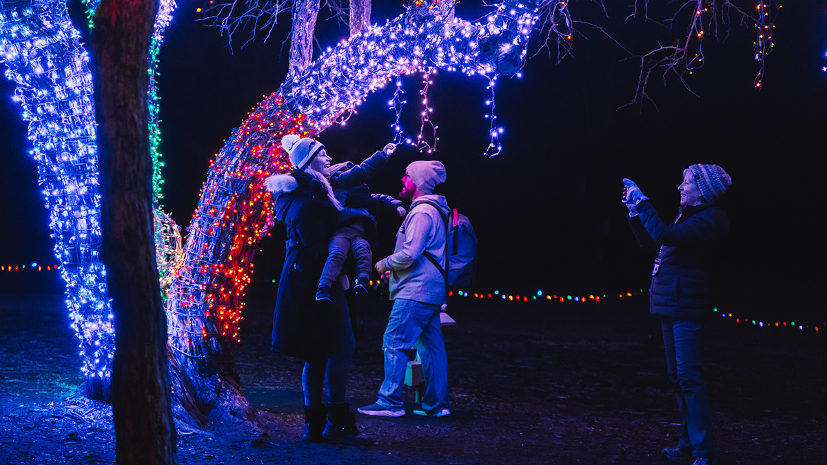 Parking Lights (18+)