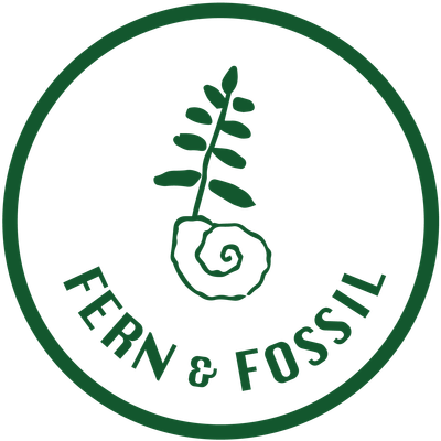 Fern & Fossil