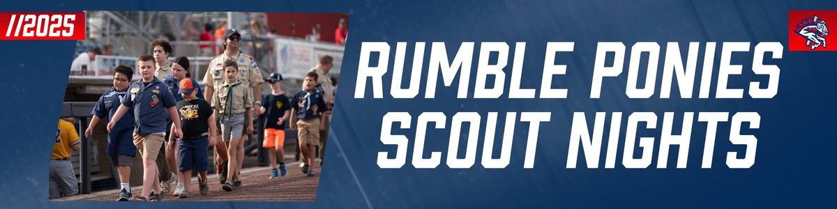 Binghamton Rumble Ponies at Portland Sea Dogs at Delta Dental Park