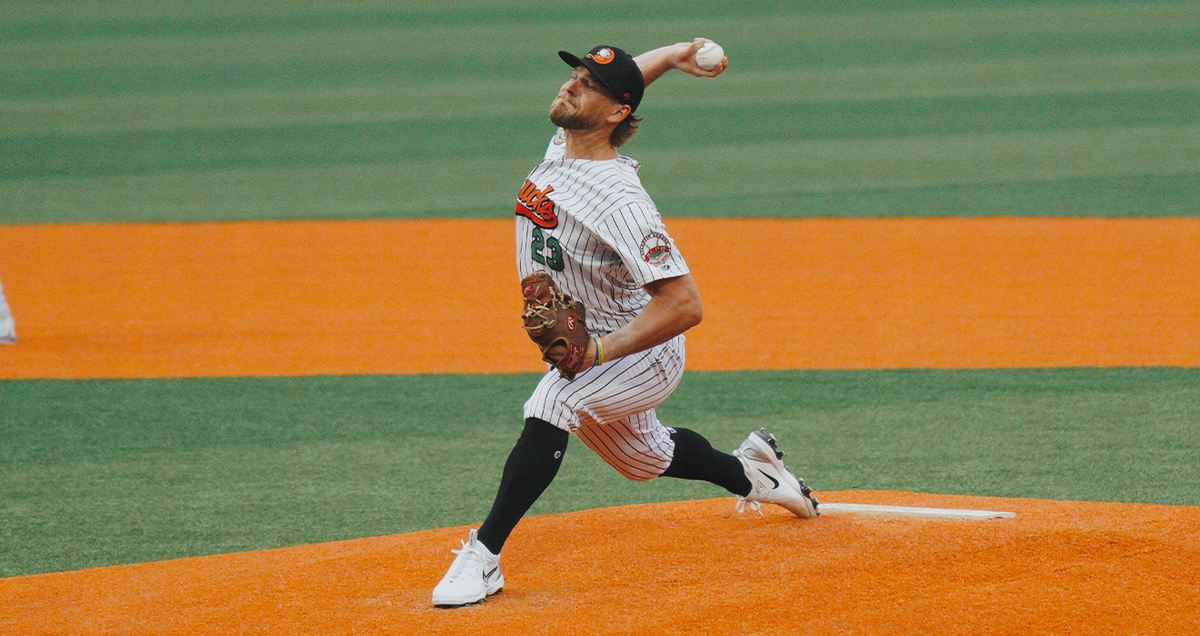 High Point Rockers vs. Long Island Ducks