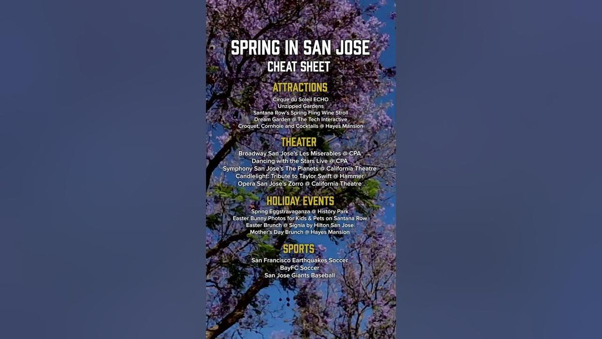 Parking Les Miserables - San Jose