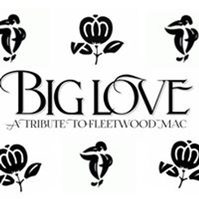 Big Love - Fleetwood Mac Tribute