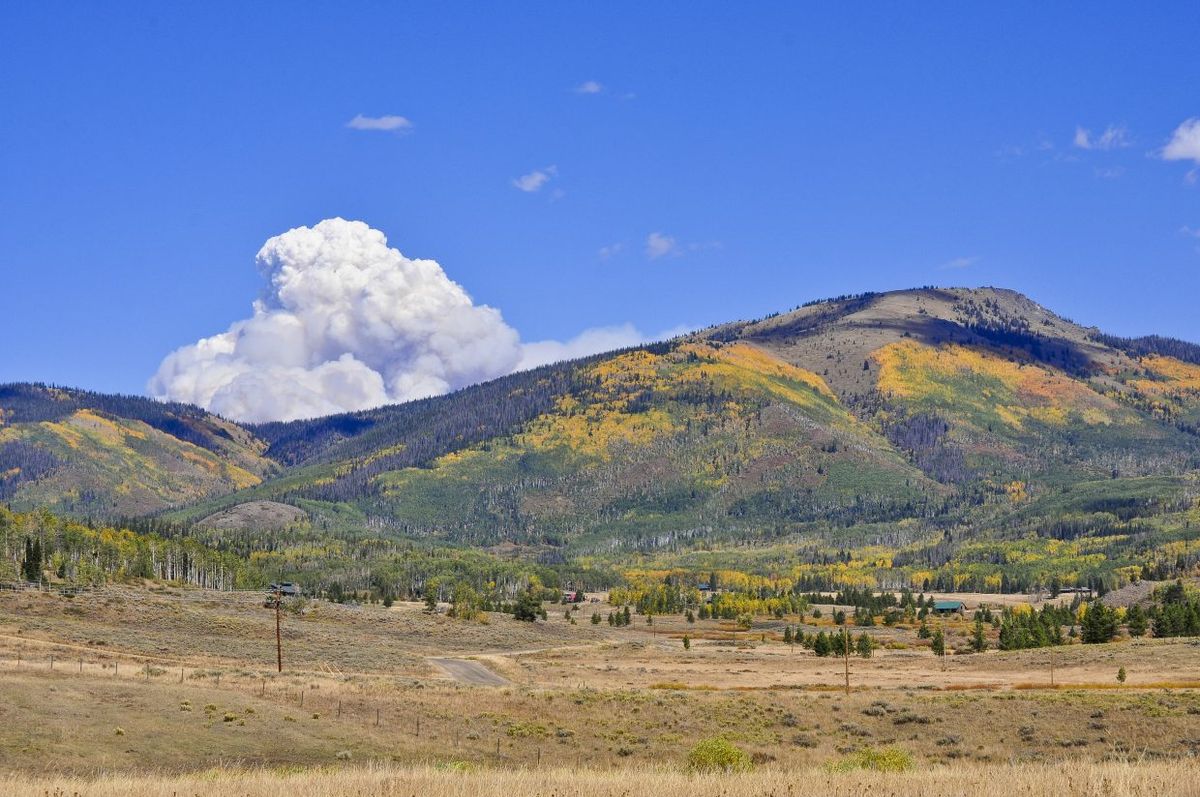 Parking The Nutcracker - Stateline