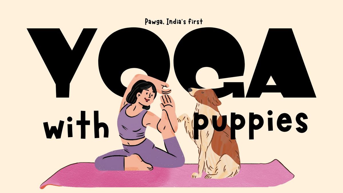 Yoga with Puppies at The Corner Company Alwarpet