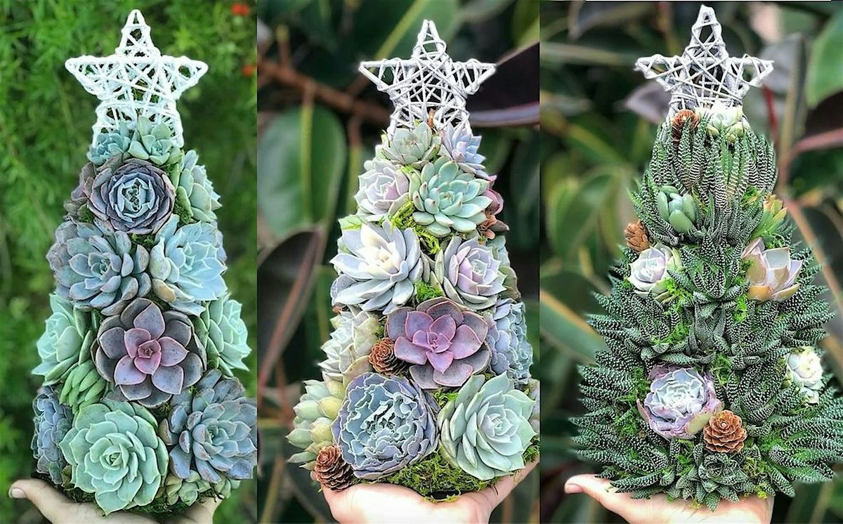 Holiday Succulent Tree Workshop