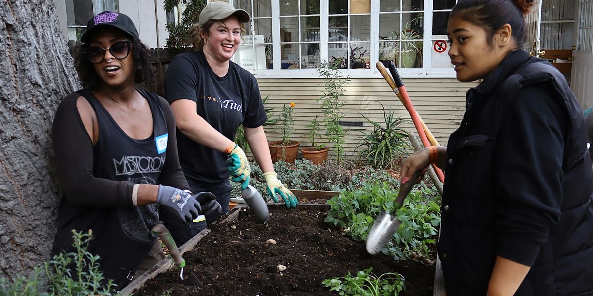 Community Seed Exchange and Lavender for Healthy Skin Workshop