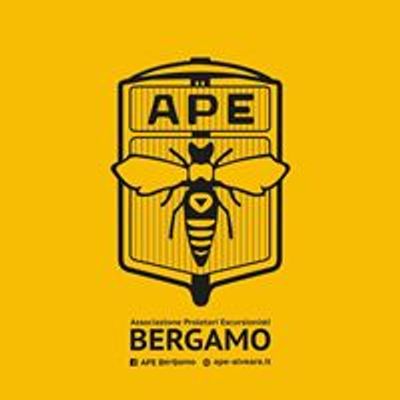 Ape Bergamo