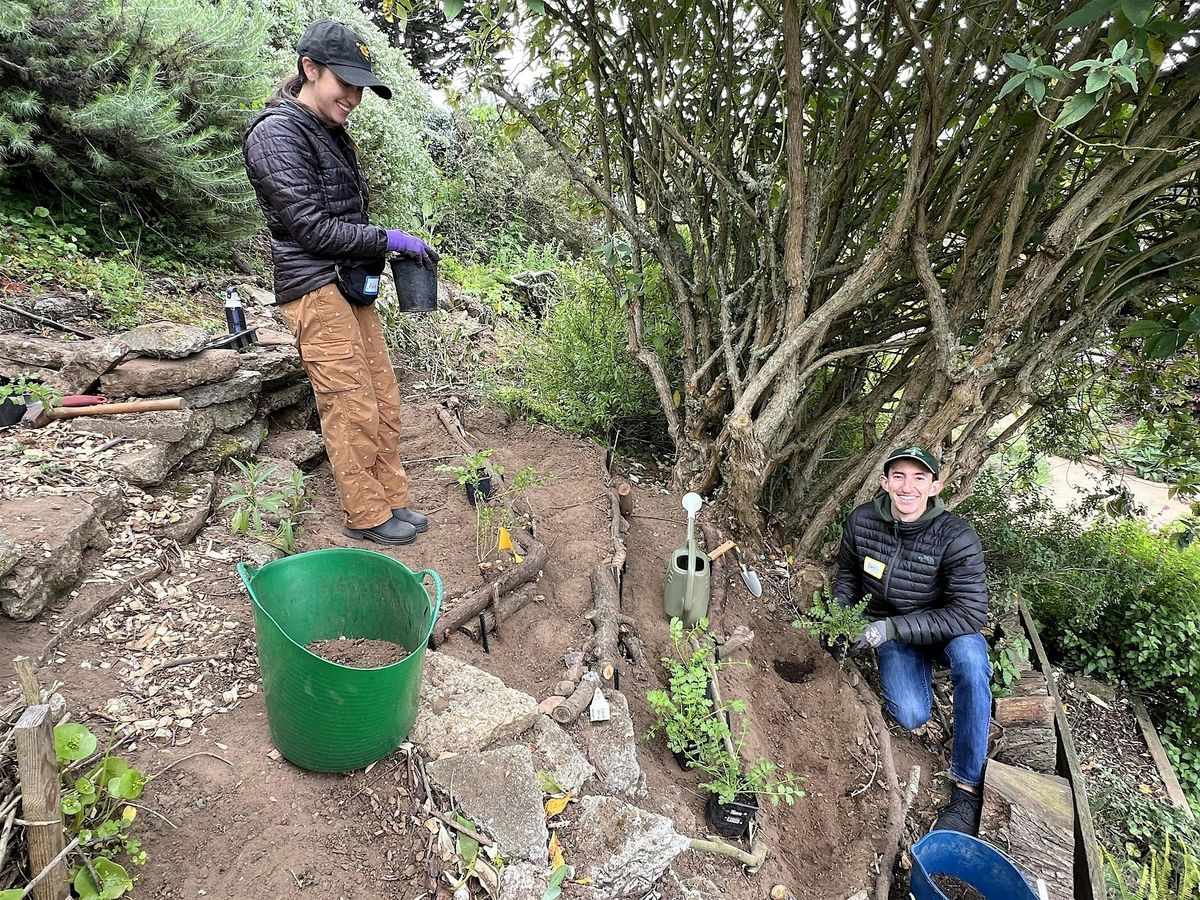 How to Cope with a Slope! Tips for Gardening on Hillsides