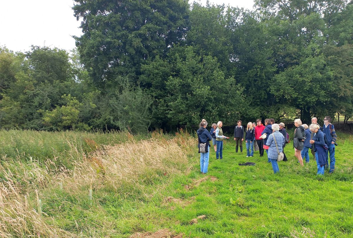 An Upper Thames Branch Guided Walk at OCC Brasenose Wood, Oxon.