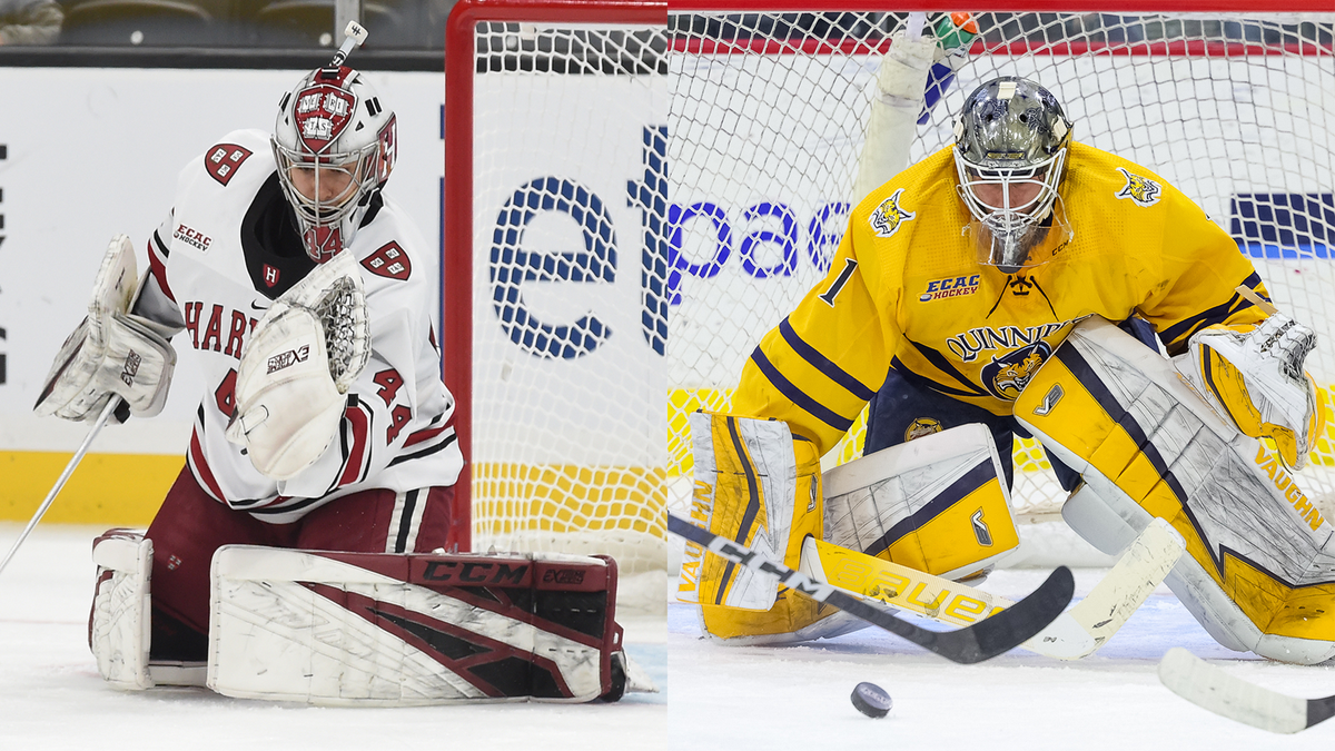 Parking Clarkson Golden Knights at Quinnipiac Bobcats Mens Hockey