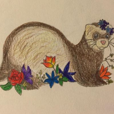 Pennsylvania Ferret Rescue Group, Inc.